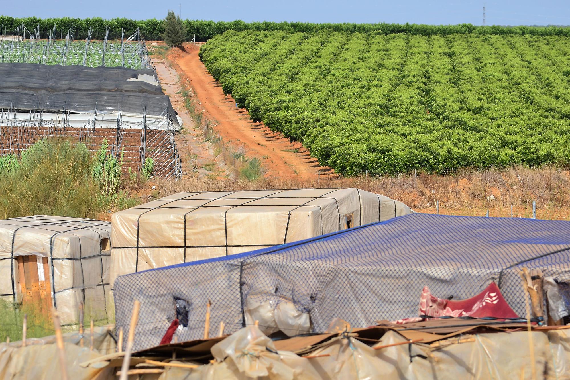 Lepe campamento chabolas